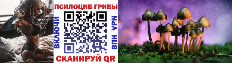mega tor  где купить наркоту  Белинский  Псилоцибиновые грибы GOLDEN TEACHER 